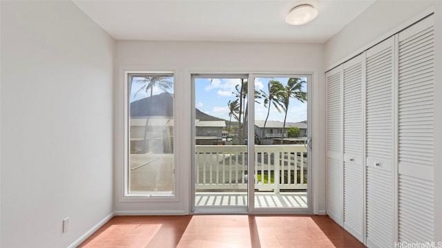 doorway to outside featuring light hardwood / wood-style flooring