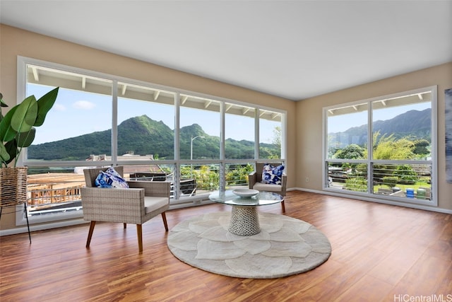 living room with a mountain view and wood-type flooring