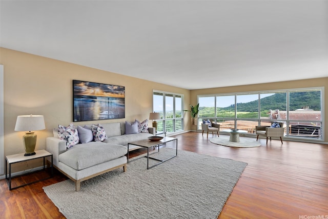 living area featuring wood finished floors