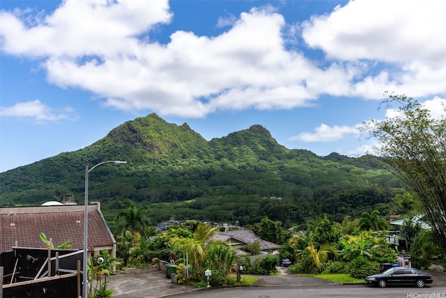 property view of mountains with a wooded view