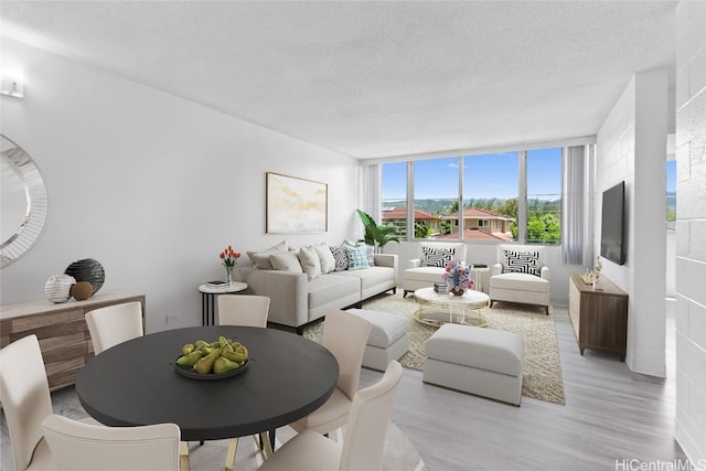 living room with light hardwood / wood-style floors, a wall of windows, and a textured ceiling