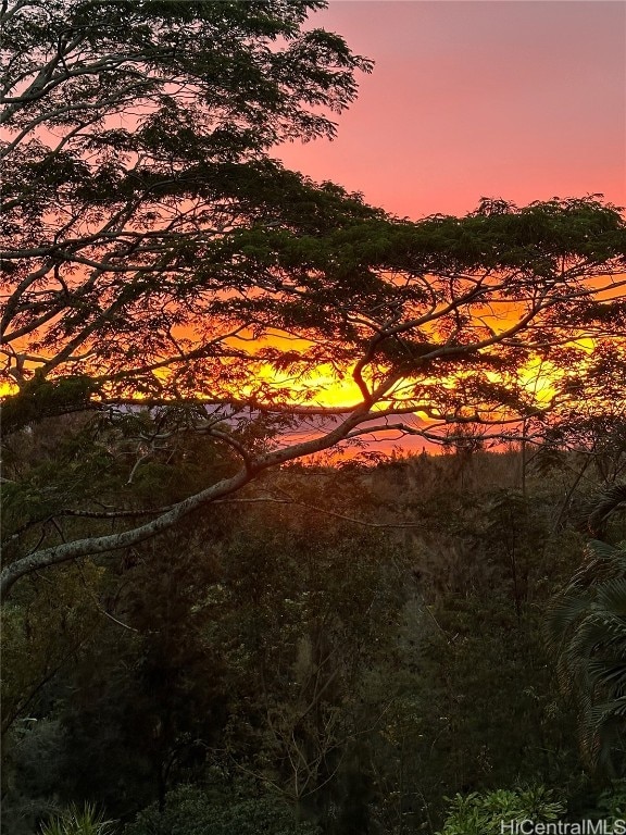 view of nature at dusk