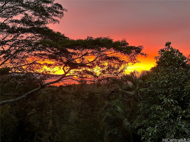 view of nature at dusk