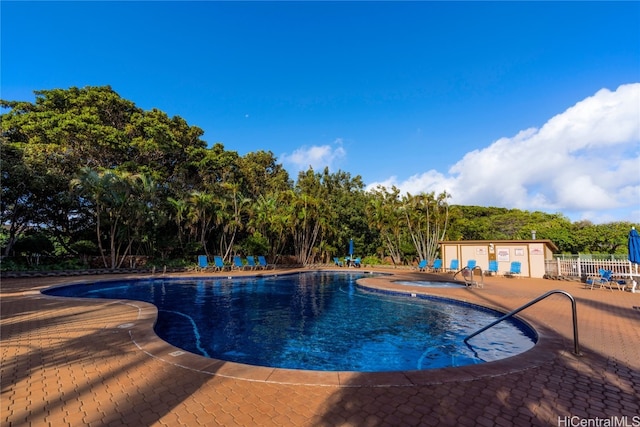 view of pool featuring a patio