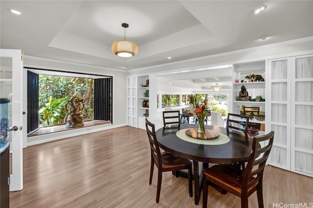 dining room with a raised ceiling, a healthy amount of sunlight, and light wood-type flooring