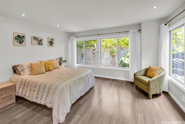 bedroom featuring hardwood / wood-style floors