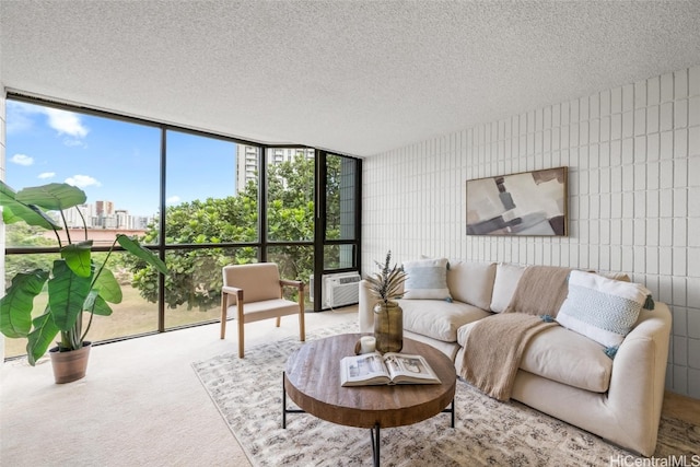 carpeted living room featuring expansive windows, a textured ceiling, and a wealth of natural light