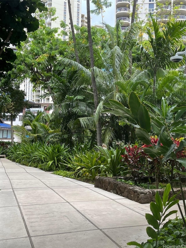 425 Ena Rd Unit 506C, Honolulu, HI 96815 - photo 7