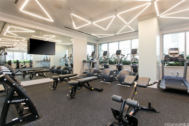 exercise room with plenty of natural light