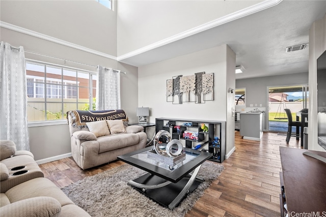 living room with hardwood / wood-style floors and plenty of natural light