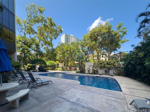 view of swimming pool featuring a patio area