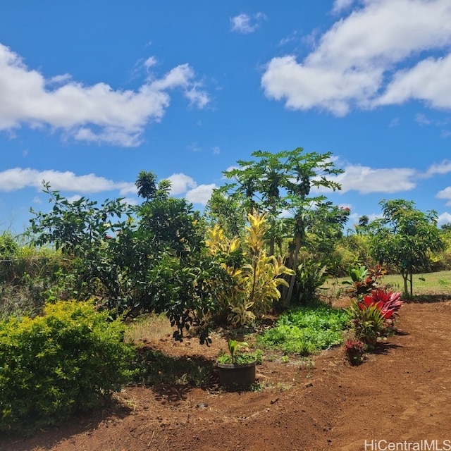 94-1100 Kunia Rd Unit 72-C, Waipahu HI, 96797 land for sale