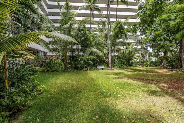 425 Ena Rd Unit 1202A, Honolulu, HI 96815 - view of yard