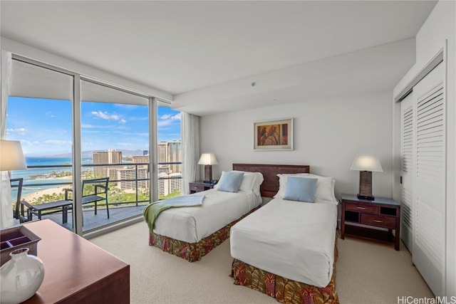 bedroom featuring light colored carpet, multiple windows, a closet, and access to exterior