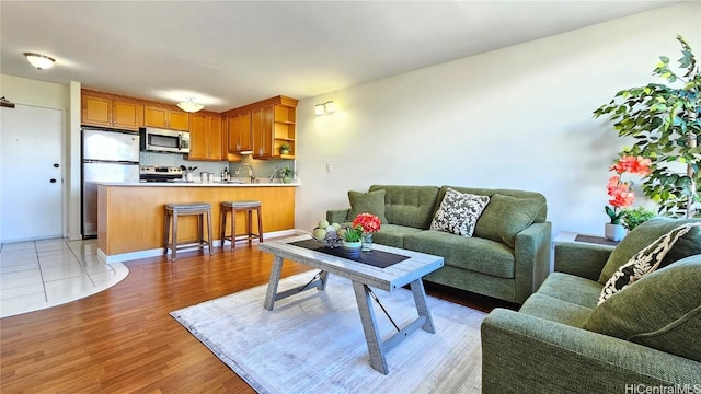 living room featuring hardwood / wood-style floors and sink