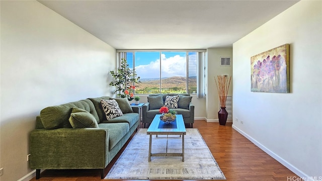 living room featuring expansive windows, a mountain view, and hardwood / wood-style floors