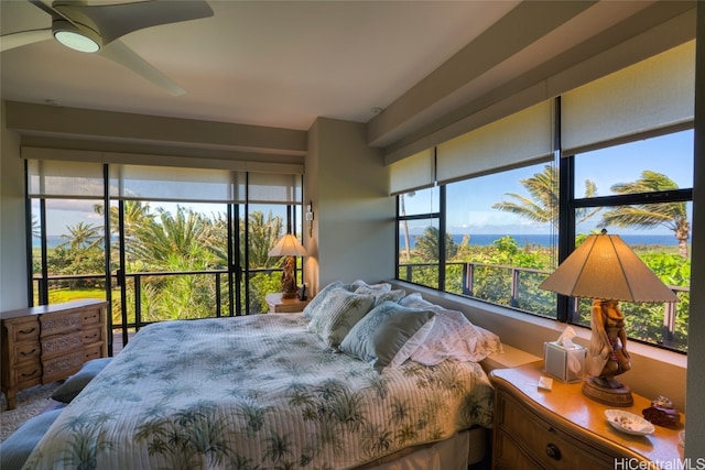 bedroom with ceiling fan