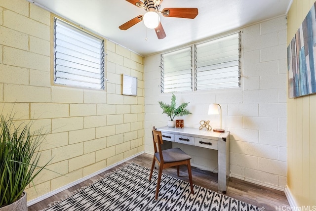 office space featuring a wealth of natural light, dark wood-type flooring, and ceiling fan