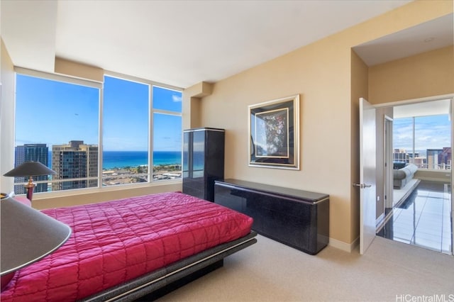 carpeted bedroom with a water view