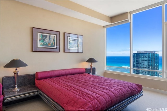 bedroom featuring carpet flooring and a water view