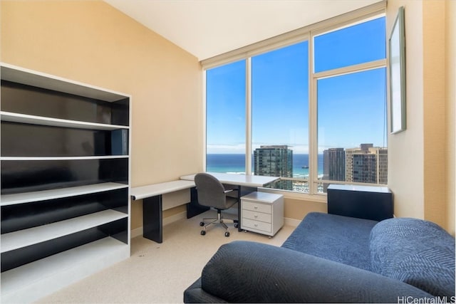 office with a water view and light colored carpet