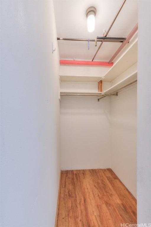 walk in closet with hardwood / wood-style floors