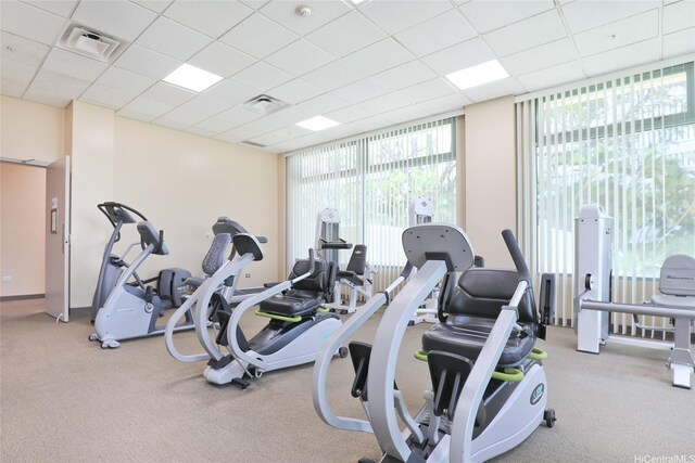 1314 Kalakaua Ave Unit 513, Honolulu, HI 96826 - gym featuring a drop ceiling and carpet flooring
