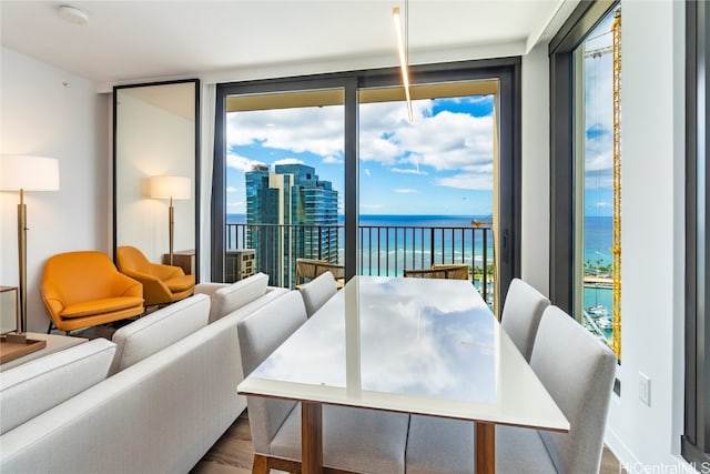 dining space featuring expansive windows, plenty of natural light, wood-type flooring, and a water view