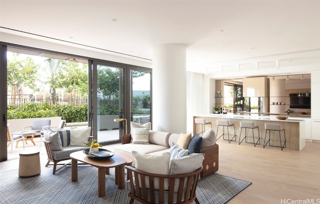 living room with light hardwood / wood-style flooring