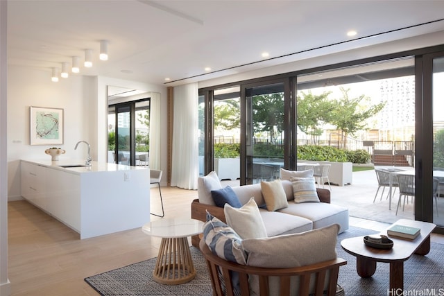 living room with light hardwood / wood-style floors and sink