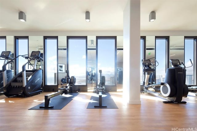 exercise room featuring wood finished floors