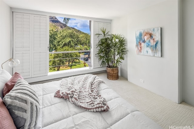 carpeted bedroom with multiple windows