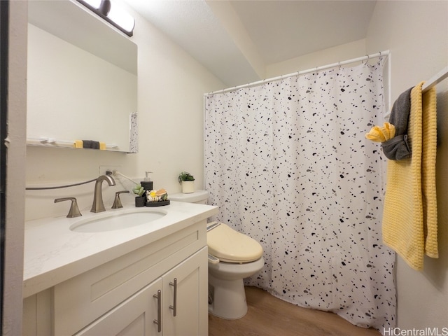 bathroom featuring toilet, hardwood / wood-style flooring, vanity, and a shower with shower curtain