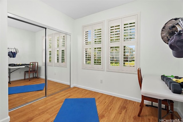 workout room featuring wood-type flooring