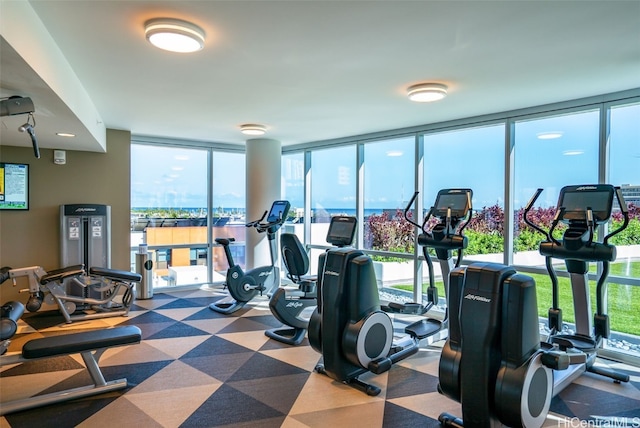 gym featuring expansive windows, a healthy amount of sunlight, and carpet floors