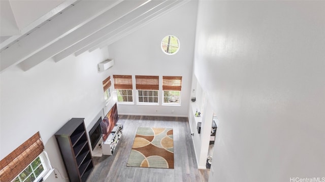 living room with hardwood / wood-style flooring and high vaulted ceiling