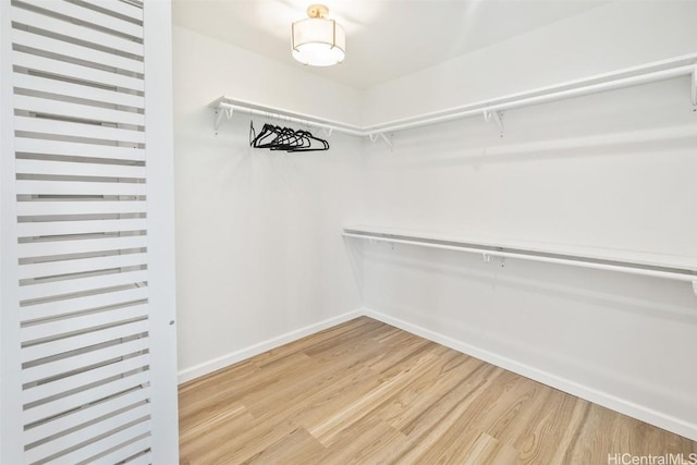 spacious closet featuring wood-type flooring