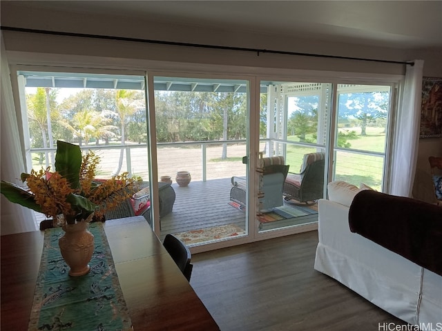 doorway featuring hardwood / wood-style flooring and a wealth of natural light