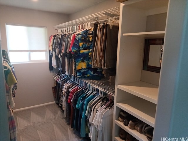 spacious closet with carpet floors