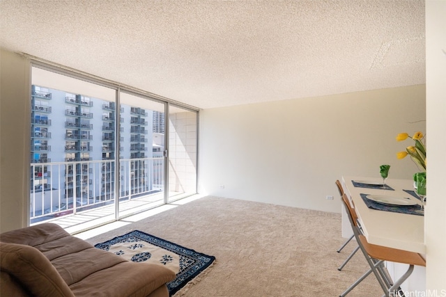 office area featuring a textured ceiling, carpet floors, and floor to ceiling windows