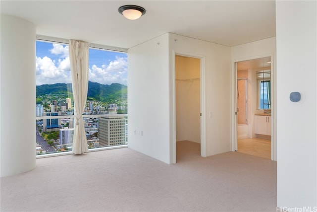 spare room featuring a mountain view and light colored carpet