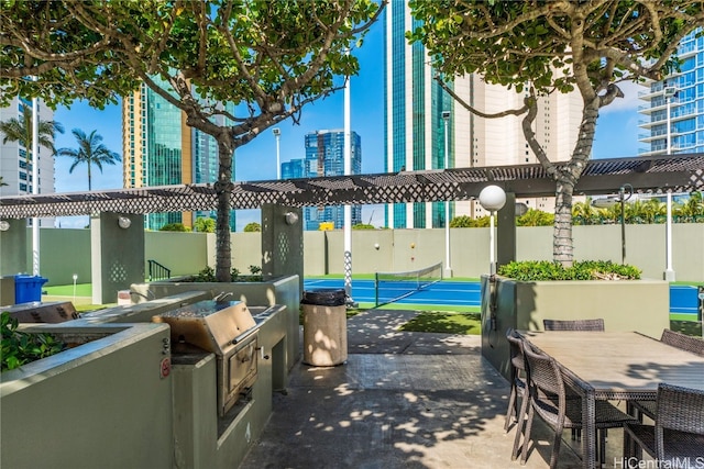 view of patio / terrace with an outdoor kitchen