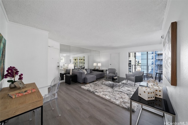 living room with hardwood / wood-style floors and a textured ceiling