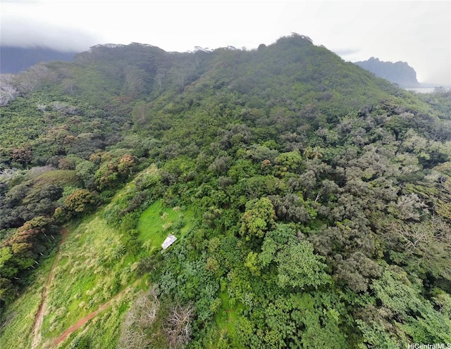 47-149 Pulama Rd, Kaneohe, HI 96744 - photo 3