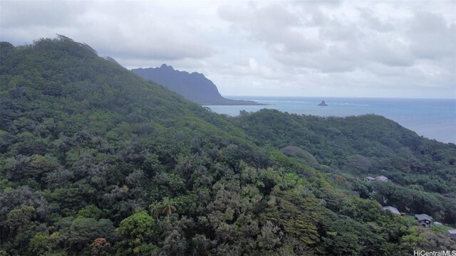 47-149 Pulama Rd, Kaneohe, HI 96744 - photo 4