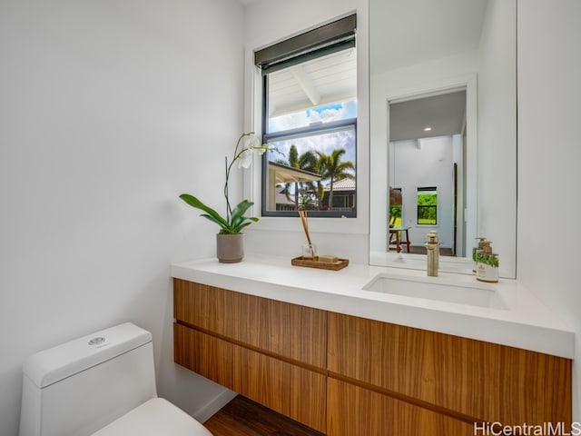 bathroom featuring vanity, wood-type flooring, and toilet