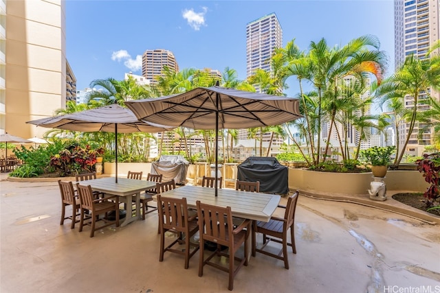 view of patio / terrace featuring grilling area