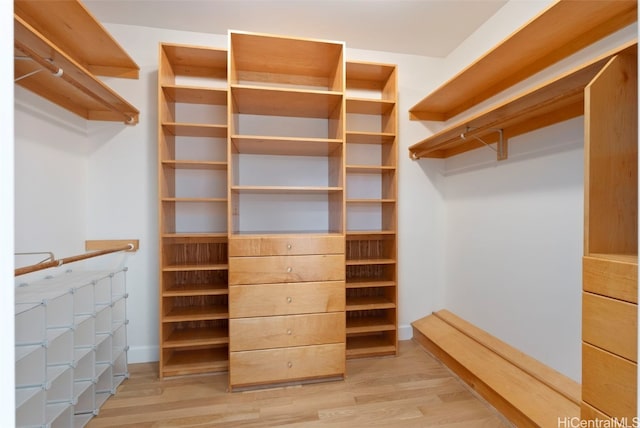 spacious closet featuring light hardwood / wood-style flooring