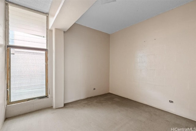 unfurnished room with carpet floors