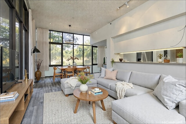 living area featuring a textured ceiling, wood finished floors, and rail lighting